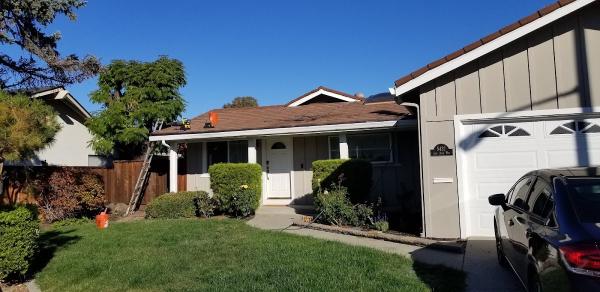 Greenworld Gutter Cleaning Service