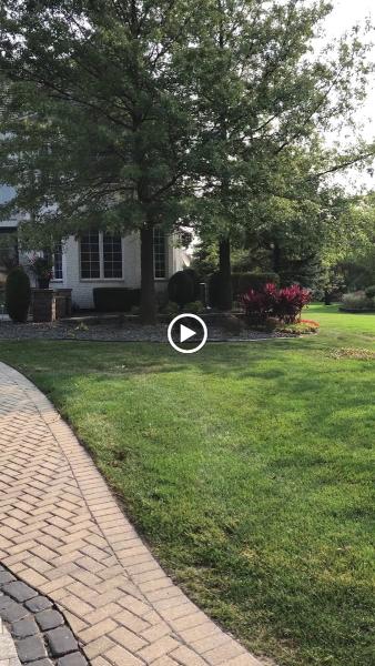 Bill's Lawn Maintenance & Landscaping
