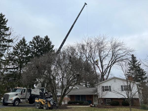 Charter Oaks Tree & Landscaping Co.