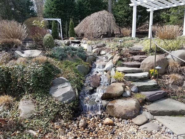 Backyard Tropicals Inc