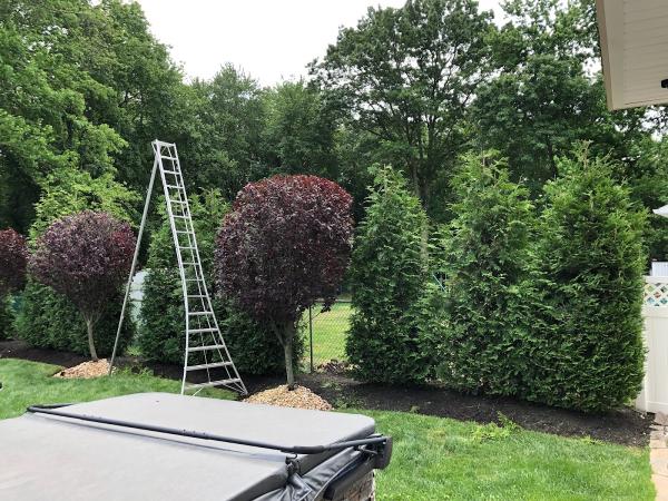 Galindo Landscaping
