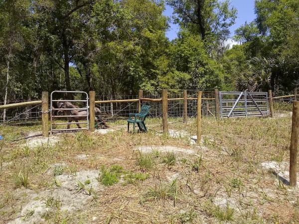 Florida Outdoor Creations