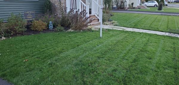 Green Choice LLC