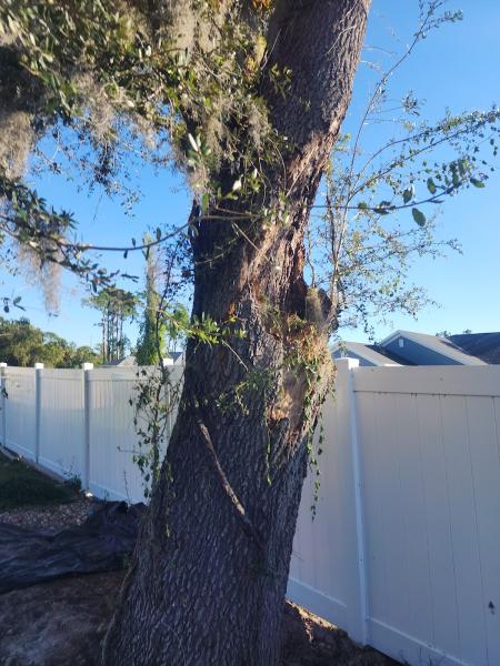 Aces Tree Service