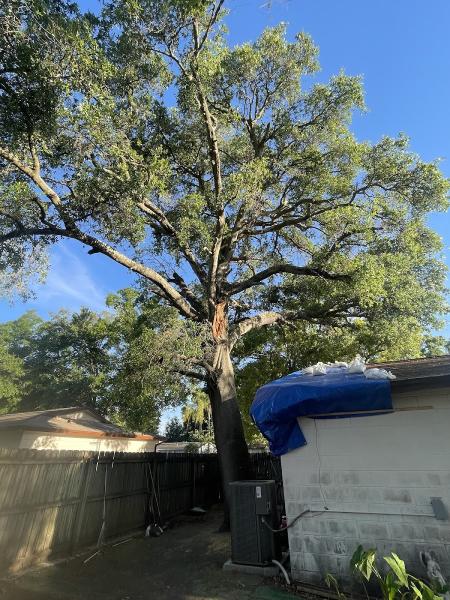 Florida Landworx