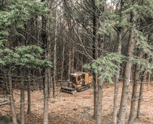 BC Forestry LLC