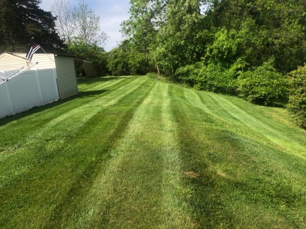 Davidson Landscaping