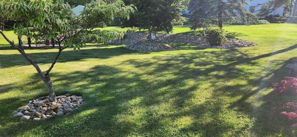 Bosetti Landscape Company