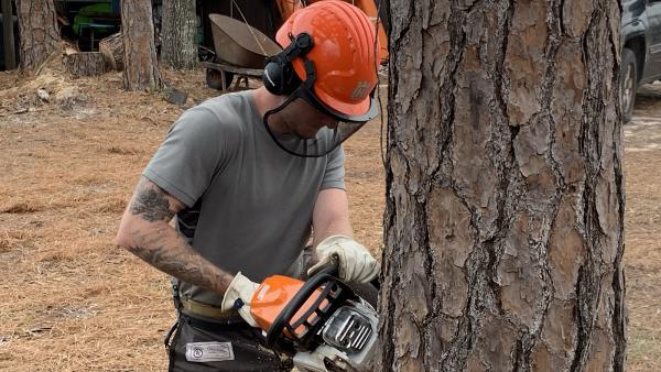 BTN Tree Service LLC