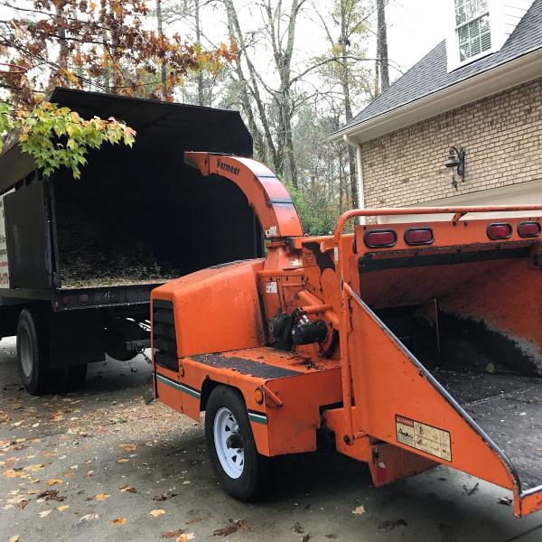 Maldonado Tree Service Llc