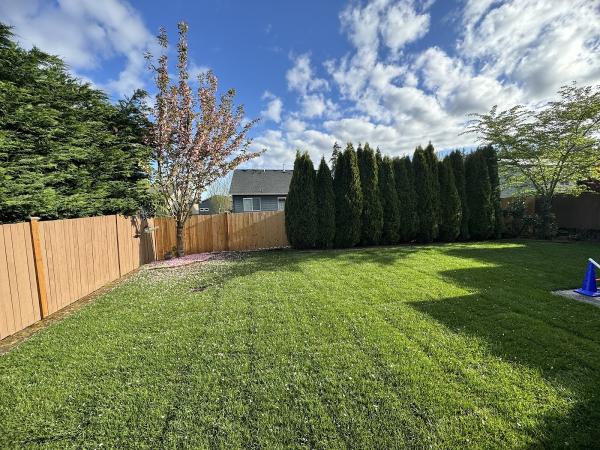 Sergio Landscaping