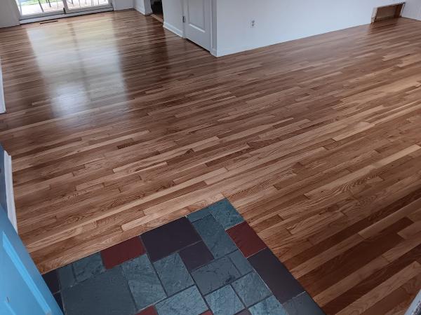 Beeline Floors