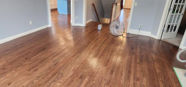 Beeline Floors