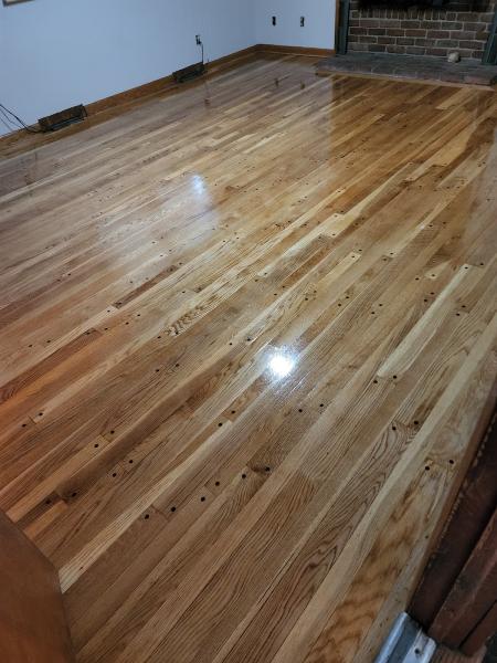 Beeline Floors