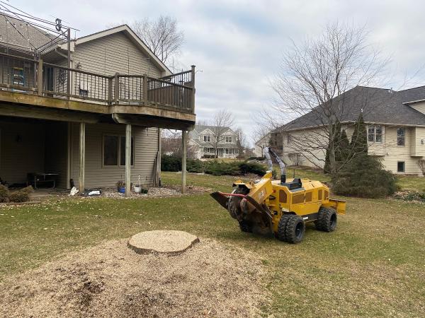 Grind Stump Removal