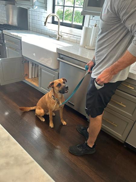 Tampa Emergency Restoration Pros