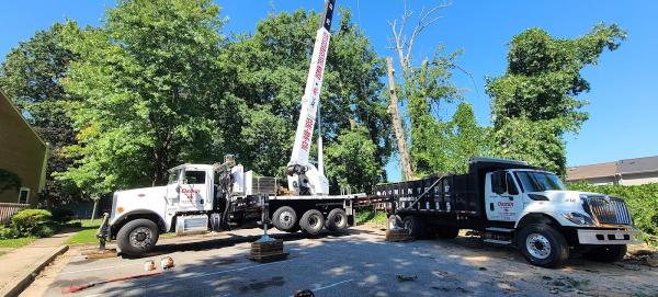 Osmin Tree Services