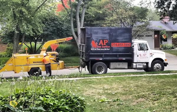 Ap Tree Service Experts