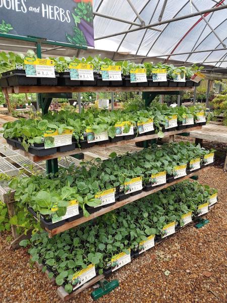 Southern Roots Nursery & Gardens