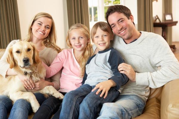 All Guard Pest Control and Termite Extermination