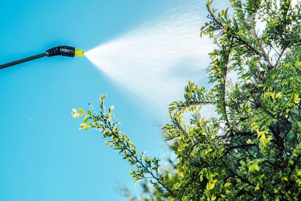 Certified Lawn Care
