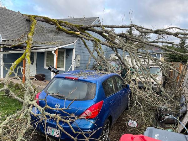 Patriot Tree Service LLC