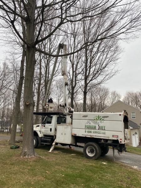 Parham Tree & Home Services