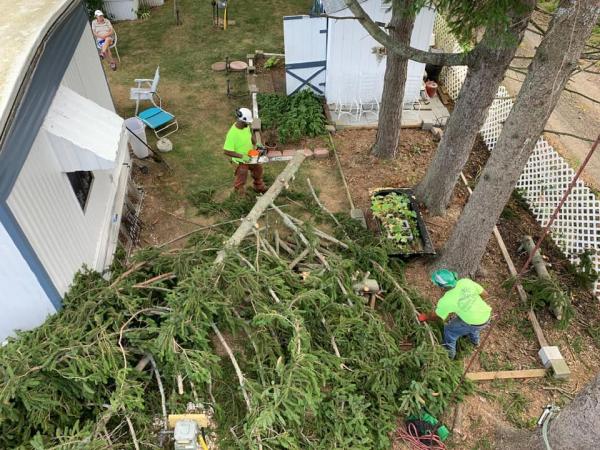 Parham Tree & Home Services