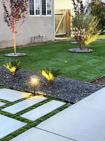 Perez Tree Service & Landscaping