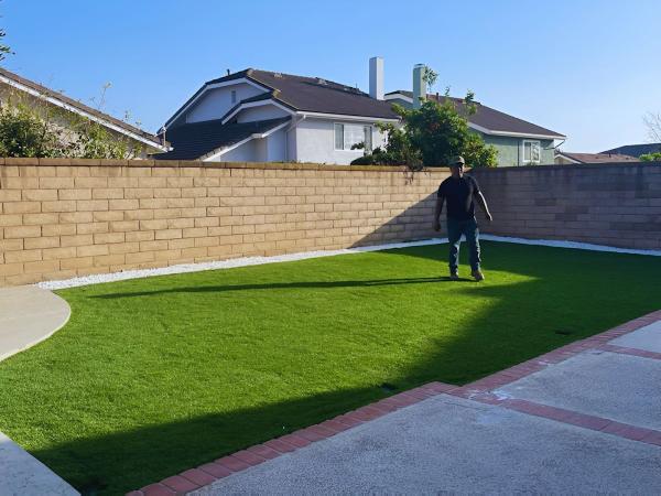 Perez Tree Service & Landscaping