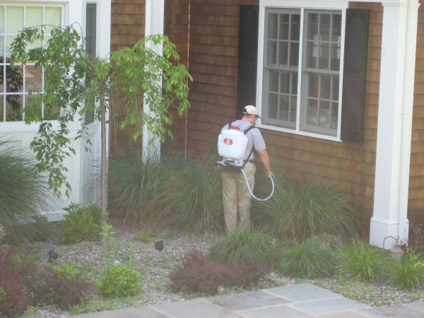 Regal Pest Management
