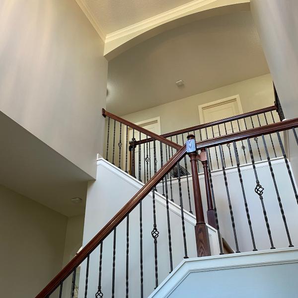 Shepard Painting Solutions
