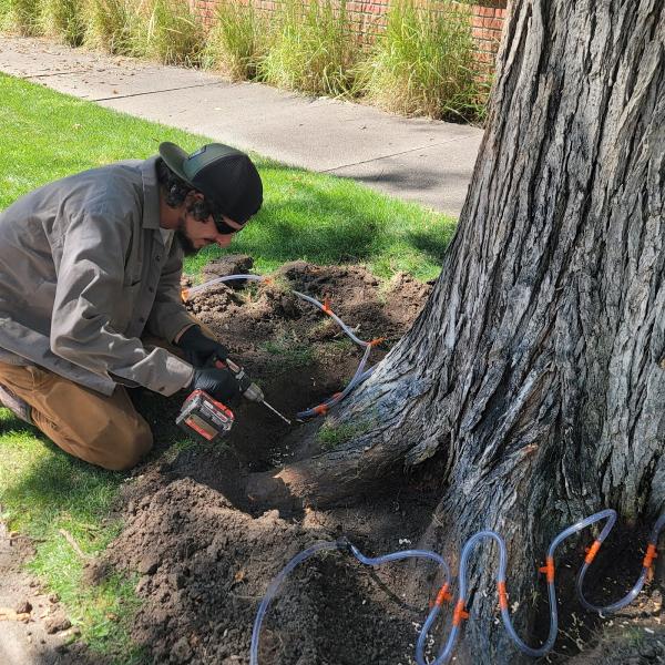 Environmental Tree Care LLC