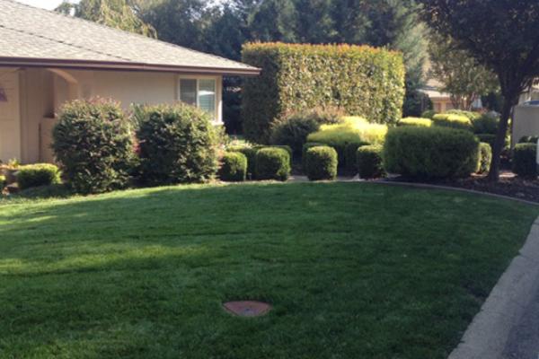 Cut Right Lawn Care