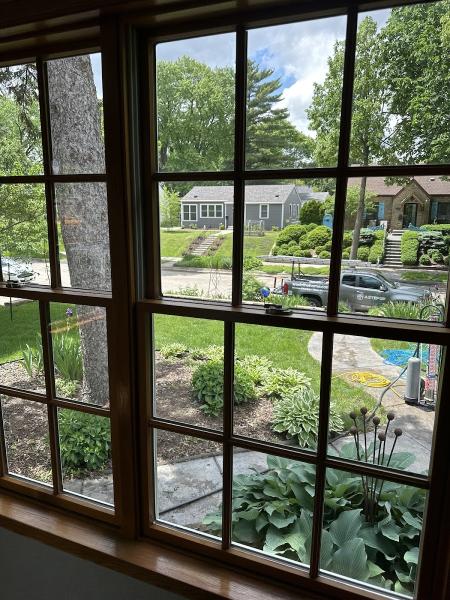 A Step Up Window Cleaning