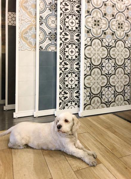 Creative Tile Imports