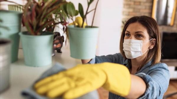 All2clean House Cleaning