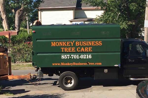 Monkey Business Tree Care