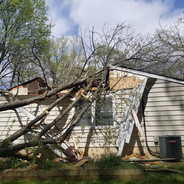 Out on A Limb Tree Service