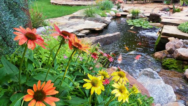 Steele's Landscapes