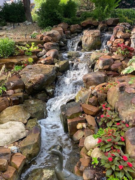 Steele's Landscapes
