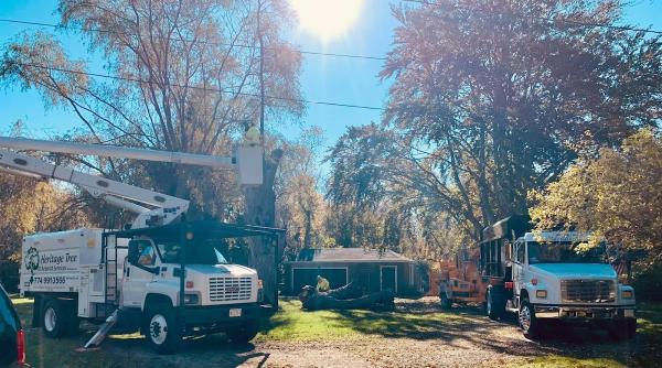 Heritage Tree & Arborist Services Northeast LLC