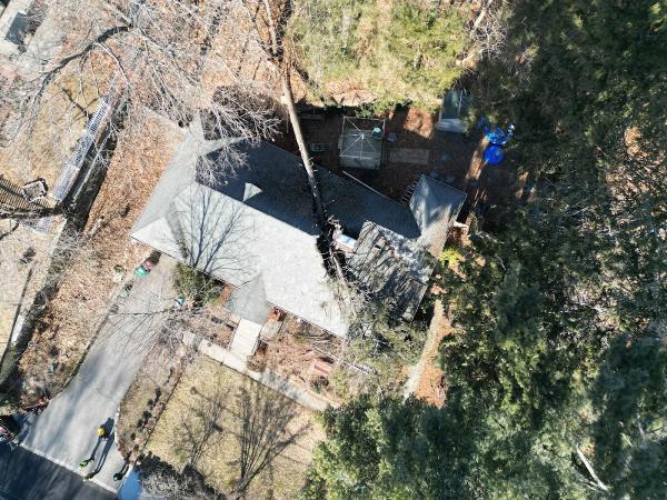 Heritage Tree & Arborist Services Northeast LLC