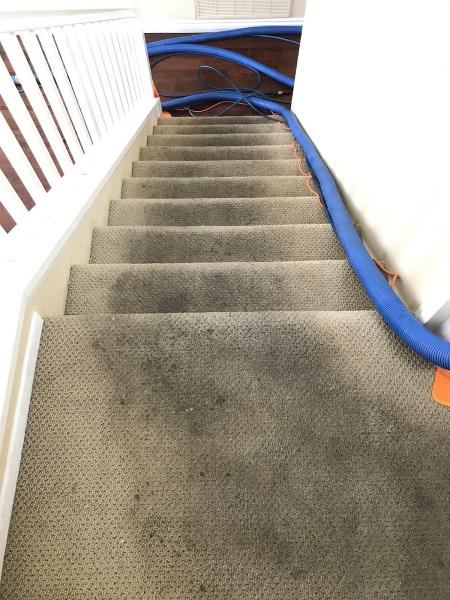 Mr. Carpet Cleaning