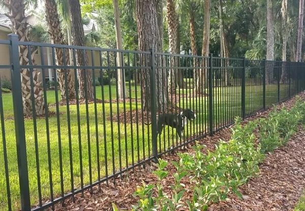 Secure Fence Systems