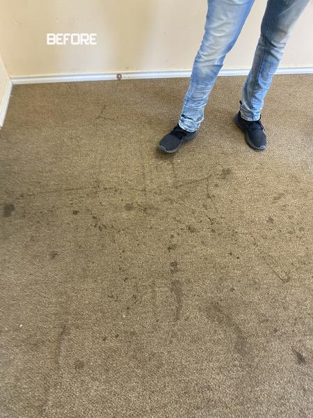 Miracle Carpet Cleaning