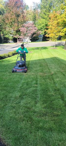 Landscape Company