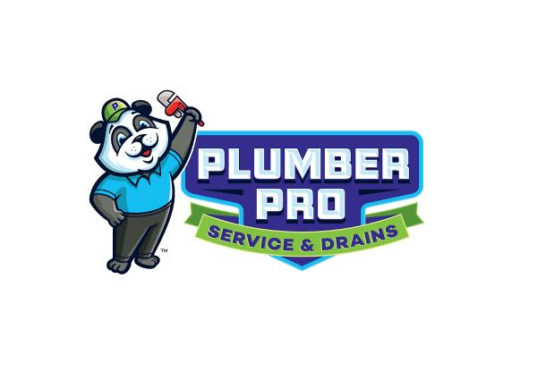 Gwinnett Plumber Pro Service
