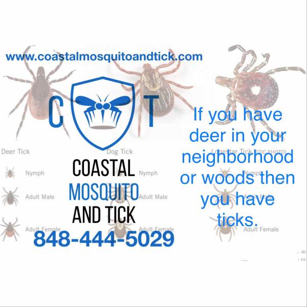 Coastal Mosquito and Tick