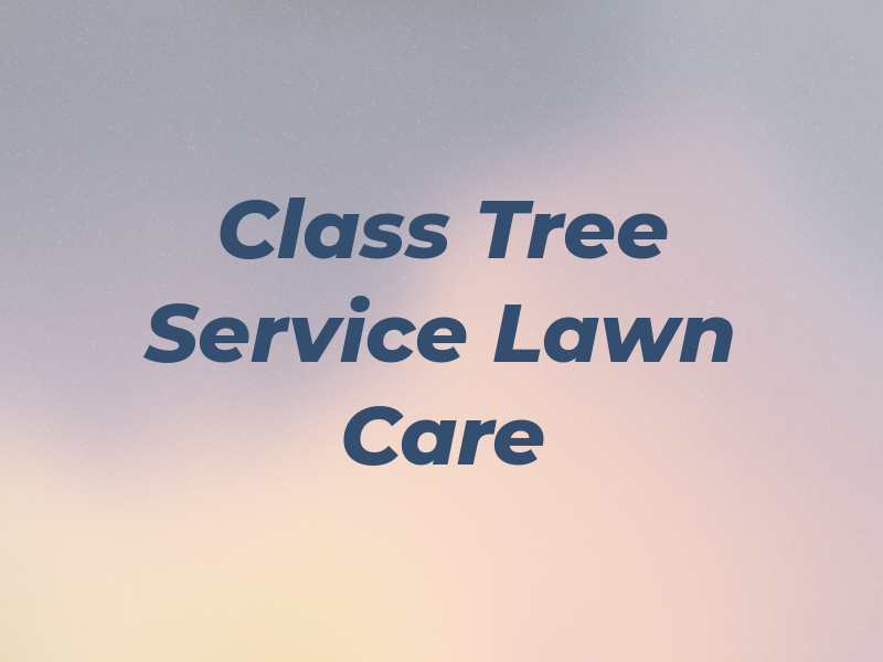 1st Class Tree Service & Lawn Care